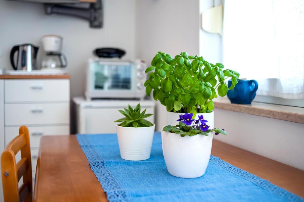 Apartment Casa Banko Rovinj Eksteriør bilde